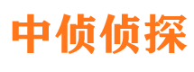 城子河市婚姻调查